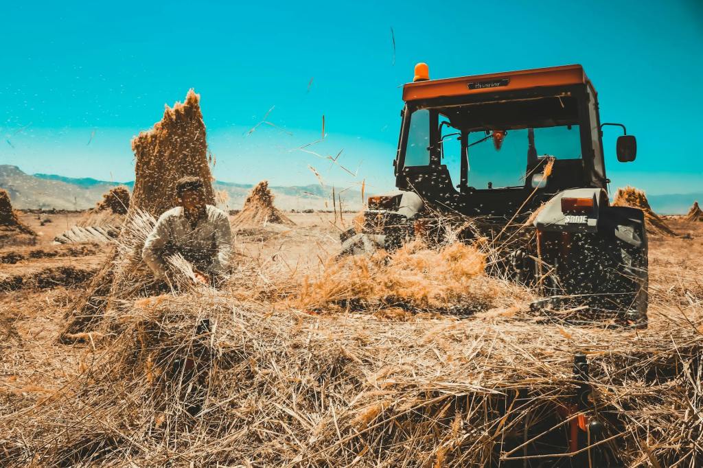 Tractor Clearing a Dry Field